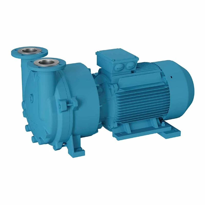 Industrial Water Vacuum Pump